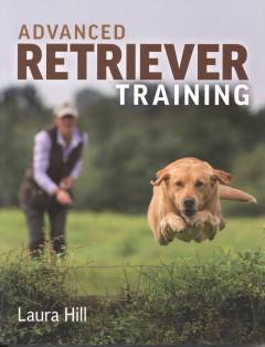 Advanced retriever training
