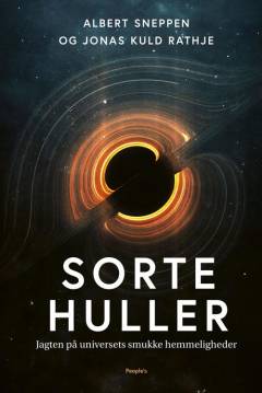 Sorte huller : jagten på universets smukke hemmeligheder