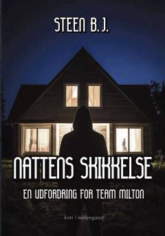 Nattens skikkelse : krimi