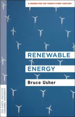 Renewable energy : a primer for the twenty-first century