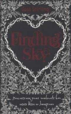 Finding Sky