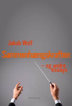 Sammenhængskraften - og andre essays