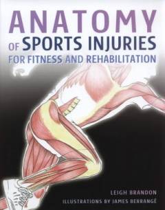 Anatomy of sports injuries : for fitness and rehabilitation
