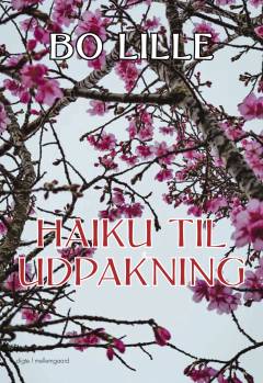Haiku til udpakning