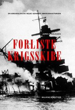 Forliste krigsskibe : en arkæologisk rejse gennem søkrigshistorien