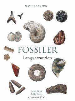 Fossiler langs stranden