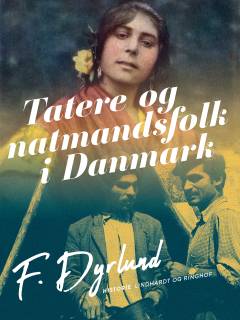 Tatere og natmandsfolk i Danmark : betragtede med hensyn til samfundsforholdene i det hele