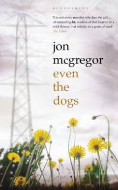 Even the dogs