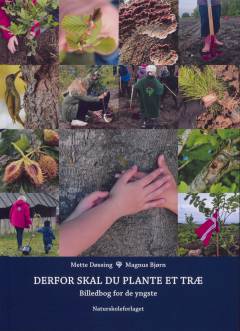 Derfor skal du plante et træ : billedbog for de yngste