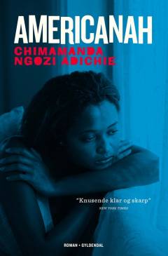 Americanah (Sæt)
