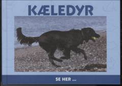 Kæledyr