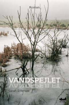 Vandspejlet