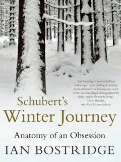 Schubert's Winter journey : anatomy of an obsession