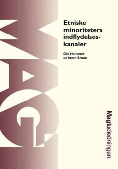 Etniske minoriteters indflydelseskanaler