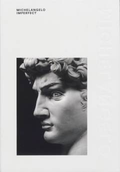 Michelangelo - imperfect