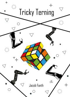 Tricky terning : sådan løser du professorterningen - en absolut begynder-guide