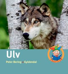 Ulv