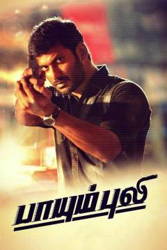 Paayum puli