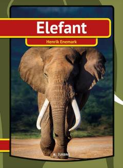 Elefant