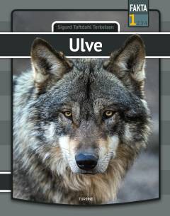 Bog, 1. udgave, 2022