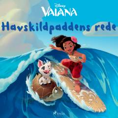 Havskildpaddens rede