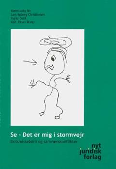 Se, det er mig i stormvejr! : skilsmissebørn og samværskonflikter