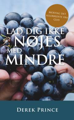 Lad dig ikke nøjes med mindre : modtag det allerbedste fra Gud