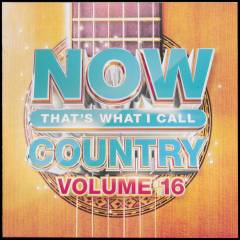 Now that's what I call country, volume 16