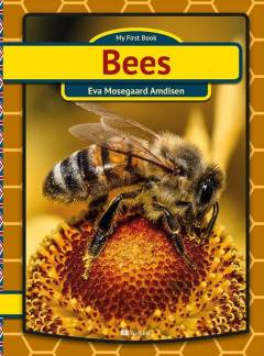 Bees