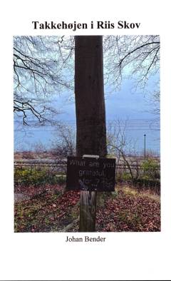 Takkehøjen i Riis Skov