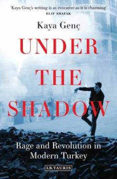 Under the shadow : rage and revolution in modern Turkey