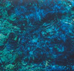 Luminescent creatures