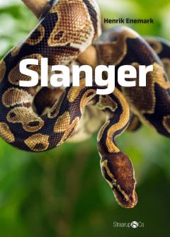 Slanger