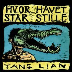 Hvor havet står stille