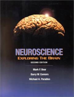 Neuroscience : exploring the brain