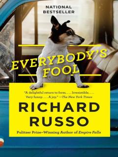 Everybody's fool