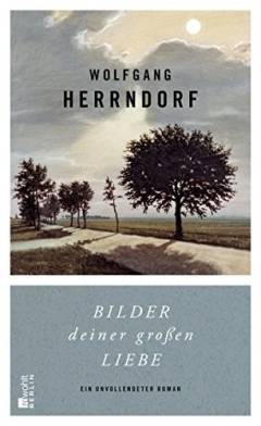 Bilder deiner grossen Liebe : ein unvollendeter Roman