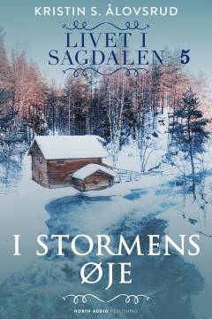 I stormens øje