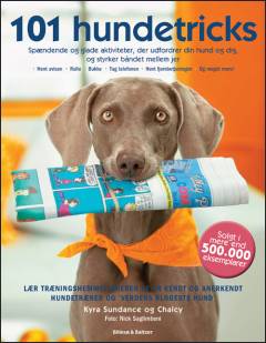 Bog, 1. udgave, 2017