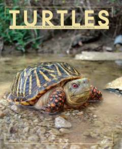 Turtles : an extraordinary natural history 245 million years in the making
