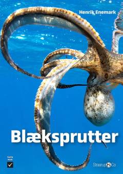 Blæksprutter