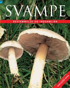 Svampe