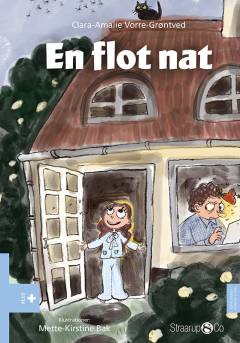 En flot nat