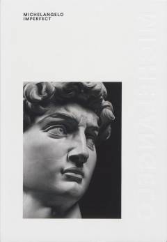 Michelangelo - imperfect