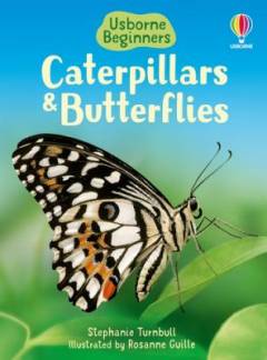 Caterpillars and butterflies
