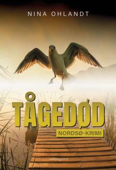 Tågedød : John Benthiens tredje sag