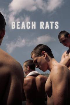 Film (dvd), 2017
