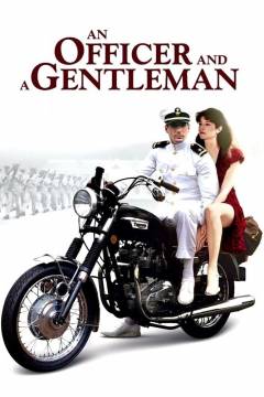 Film (dvd), 2001