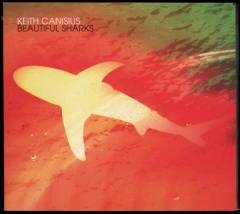 Beautiful sharks
