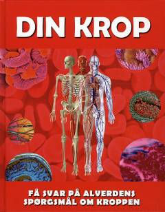 Din krop